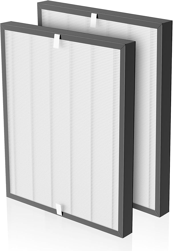 3000 Replacement Filter Compatible with Air Doctor 3000 Series 4-in-1 Home Air Purifier 3000 3000M 3000E and 3000Pro, NOT Fit for 3500, 2 Main Filter