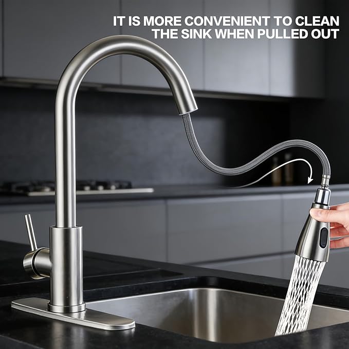 Kitchen Sink Faucet with Pull - Down Sprayer, 2 - Handle 3 - in - 1 Kitchen Sink Filter Faucet, Cold and Hot Mixer Drinking Water Faucet (Classic, Brushed Nickel-3)