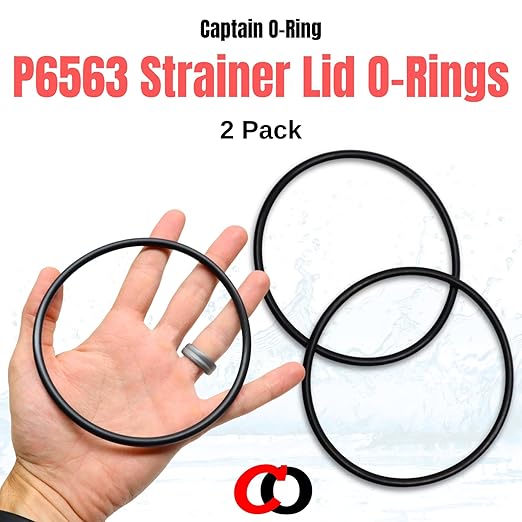 Captain O-Ring - Replacement P6563 O-Ring for Bestway Flowclear 1000/1200/1500 Sand Filter Strainer Lid (2 Pack, P6563ASS16)