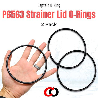 Captain O-Ring - Replacement P6563 O-Ring for Bestway Flowclear 1000/1200/1500 Sand Filter Strainer Lid (2 Pack, P6563ASS16)