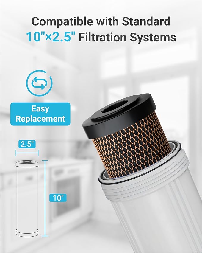 AQUA CREST 1 Micron 2.5"x10" Whole House CTO Carbon Water Filter Cartridge Replacement for DuPont® WFPFC8002, Culligan® D-10A, CBC-10, GE® FXWTC, GXWH20T, Pack of 2