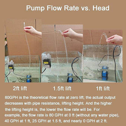 AQUANEAT Small Fountain Pump, 80 GPH Mini Submersible Water Pump with 3.3 ft Tubing, for Aquarium Fish Tank, Pet Water Fountain, Hydroponics, Pond Waterfall Filter Pump