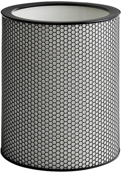 972132-01 H13 Grade Glass Big HEPA Filter Compatible for Dyson Purifier BP03 and BP04 (Big), Airborne Wildfire, Smoke, Pollen, Pet Dander, and Dust