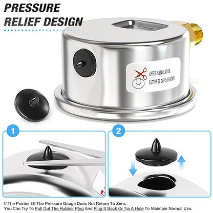 MEANLIN MEASURE 0~30Psi Dry Low Pressure Gauge Stainless Steel 1/8" NPT 2" FACE DIAL Waterproof for Pool Sand Filter Water Oil Air Pressure Test Lower Mount, with 1/4" NPT and 3/8" NPT Hex Bushing