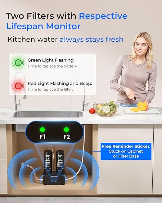 Waterdrop DLG-L Under Sink Water Filter, Reduces Chlorine Lead Chloramine Bad Taste, 2 Stage Under Sink Water Filtration System with Separate Faucet, Life Indicator, Innovative Dual Filtered Flows