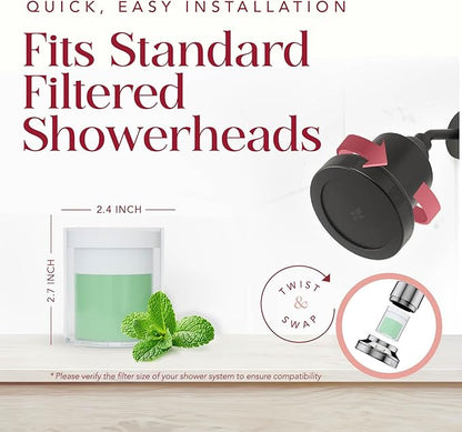 Vitamin C Shower Filter Replacement Cartridge + Shower Steamers Aromatherapy - K Beauty Skin & Hair Enhancement, Universal Water Filter Replacement for AquaBliss - Peppermint