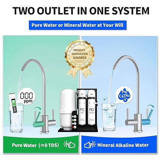 WINGSOL Integrated Reverse Osmosis Water Filter, NSF/ANSI 42/53/58, Dual Outlet 10-Stage Under Sink RO Filtration System for 0 TDS & pH+ Alkaline Remineralization Water, No Electricity Needed