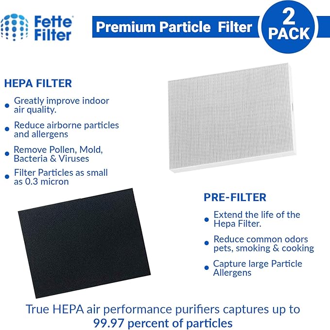 Fette Filter -Premium True Hepa H13 Filter Replacement Compatible with Fellowes AeraMax 190/200/DX55 Air Cleaner Purifiers Part # 9287101 9324101 (2-Hepa + 8 Carbon Filters)