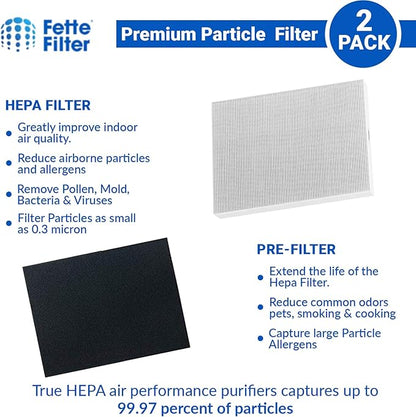 Fette Filter -Premium True Hepa H13 Filter Replacement Compatible with Fellowes AeraMax 190/200/DX55 Air Cleaner Purifiers Part # 9287101 9324101 (2-Hepa + 8 Carbon Filters)