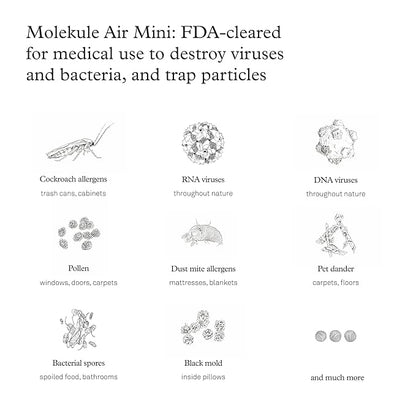 Molekule Air Mini & Air Mini+ PECO Filter - Nanocatalytic Filter for Healthy Air Quality - Eliminates Allergens & Viruses at a Molecular Level - Light-Activated - Home & Office Use