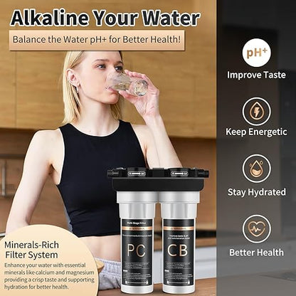 Under Sink Water Filter System, 2-Stage Deep Filtration, Reduce Heavy Metals/Chlorine/PFAS/Odor/Sediment, NSF/ANSI 42&53 Improve Taste, Life Indication Mineral pH+ Under Sink Water Filter