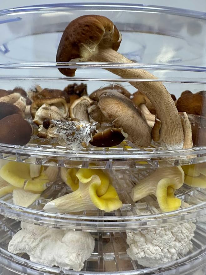 350 Watt Mushroom Dehydrator with Adjustable Temperature Control and Extra Tall Trays