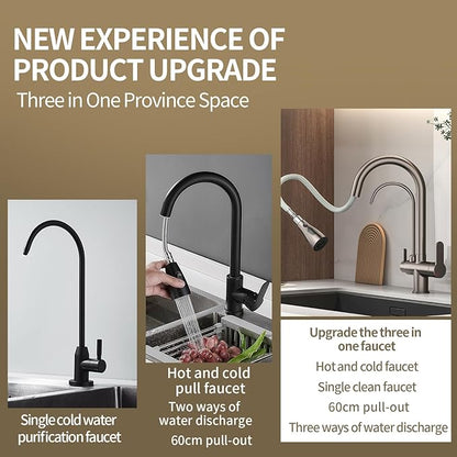 Kitchen Sink Faucet with Pull - Down Sprayer, 2 - Handle 3 - in - 1 Kitchen Sink Filter Faucet, Cold and Hot Mixer Drinking Water Faucet (3-in-1 Filter Faucet, Grey)