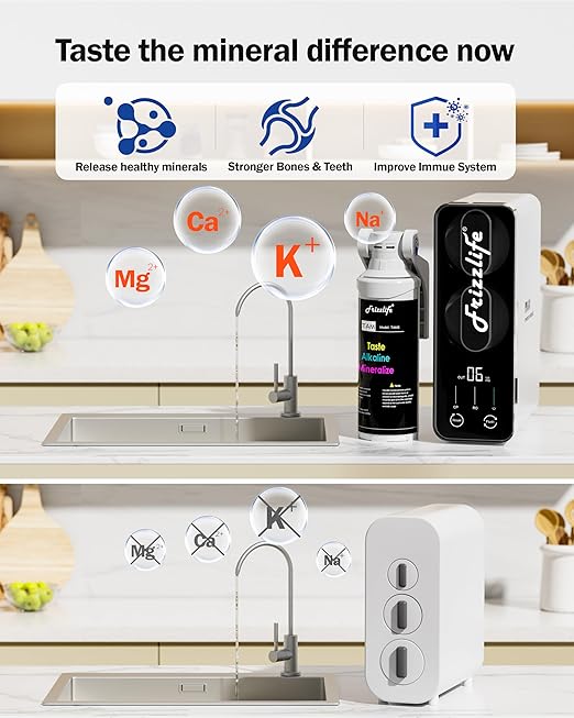 Frizzlife Reverse Osmosis Water Filter - Alkaline Mineral pH+, NSF/ASNI 58&53&42&372 Standard, 600GPD Tankless RO Reverse Osmosis System, Under Sink, 2:1 Pure to Drain, Reduce FPAS/PFOA, PD600-TAM3
