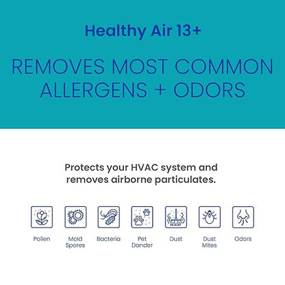 AprilAire 213CBN Replacement Filter for AprilAire Whole House Air Purifiers - MERV 13 with Carbon, Healthy Home Allergy + Odor Reduction, 20x25x4 Air Filter (Pack of 2)
