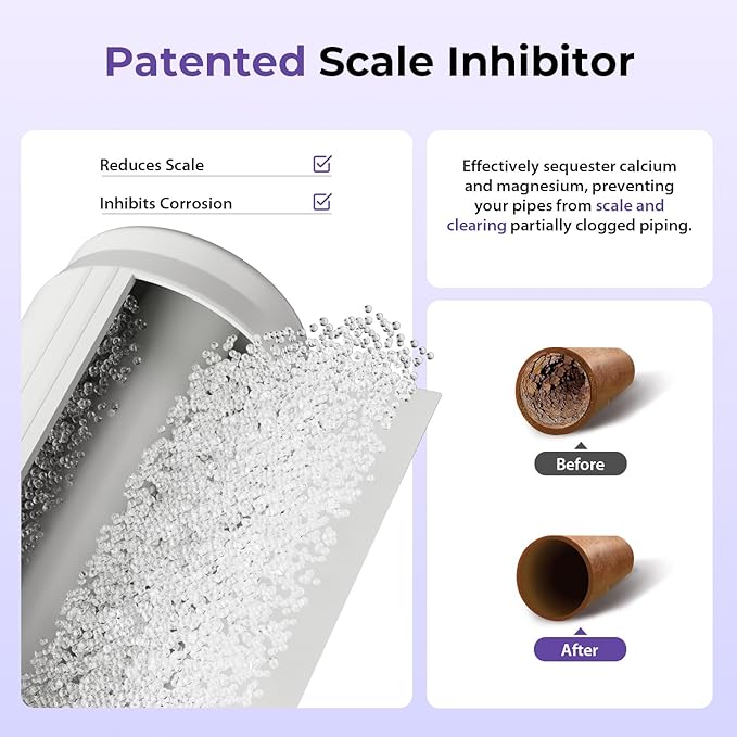 iSpring Anti-Scale Whole House Water Filter System, Reduces up to 99% Chlorine, Odor, and Sediments, 2-Stage Water Descaler and Whole House Water Filter, 1" Inlet/Outlet, Model: WGB21B-DS