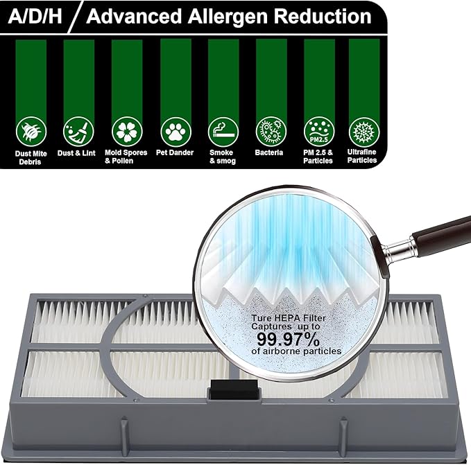 A/D/H True HEPA Filter, Advanced Allergen Reduction, Compatible with Filtrete 3M Air Purifier Model FAP-TT-ADH and Homes HAP9432, HAP9243, HAP9415, Fits for Honeywell Air purifier HPA060(BWM), 2-Pack