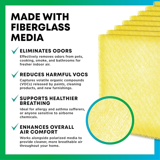 Filterbuy 20x20 Air Cleaner Filter Replacement Pads for Respicaire CG MicroClean 95, Totaline CG1000 Star Series, and More (4-Pack)