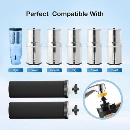 Black Purification Elements Replacement for Berkey® BB9-2® & Big Berkey® Gravity Water Filter System, Compatible with ProOne® Big+ & Purewell Filters, High-Efficiency Carbon Elements (2 Pack)