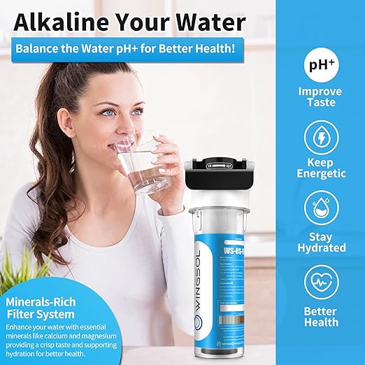 WINGSOL Under Sink Water Filter with Faucet, Reduce Heavy Metals/Chlorine/PFAS/PFOA/PFOS/Odor/Sediment, NSF/ANSI 42&53 Improve Taste, EZ Change Life Indication Mineral pH+ Sink Water Filter