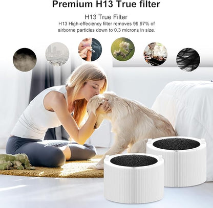 Blue Pure 411i/411a Max Replacement Filter Compatible with 411i/411a Max Smart Machine, Efficient Particle Dust Dander Filter&Odor Smoke Activated Carbon Filter for Home, Blue Pure F4MAX, 2 Pack