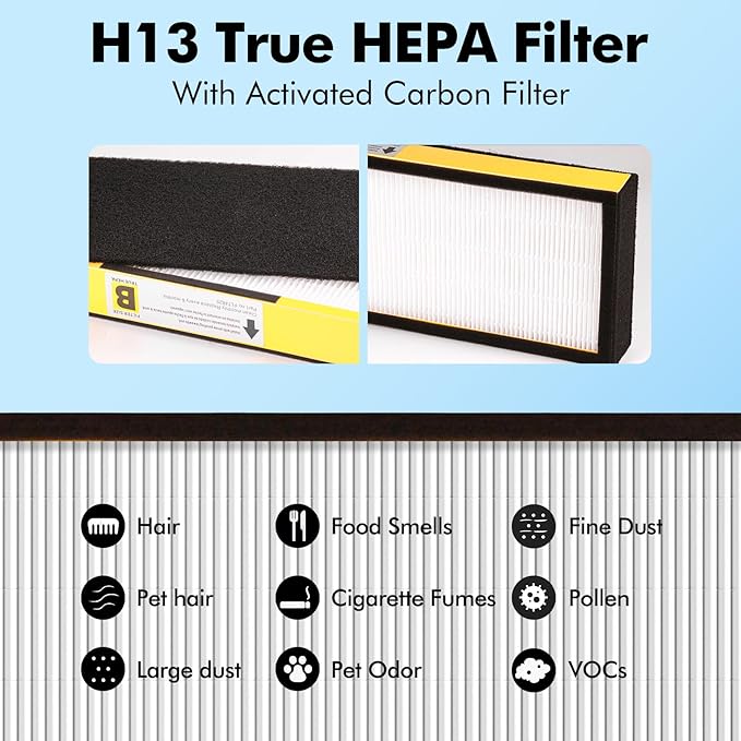 FLT4825 Filter B HEPA Pure Replacement Compatible with GermGuardian AC4825, AC4825E, AC4300, AC4800, AC4900, AC4850 Air Purifier, 4 Pack