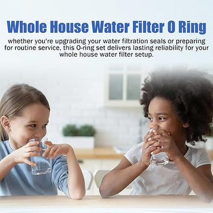 Whole House Water Filter O Ring 10"X4.5", 20"X4.5" for Simpure DB10C PurePlus PP-WFM10B Filter Housing Replacement Seals & Gaskets - 2PCS