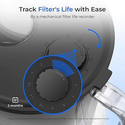 Waterdrop Large Glass Water Filter Pitcher, Eco-Friendly, with 1 NSF 53&42&372 Certified Filter, 10-Cup, Reduces PFOA/PFOS, Chlorine, Cadmium, Copper, Mercury, BPA Free, Easy to Clean, Black