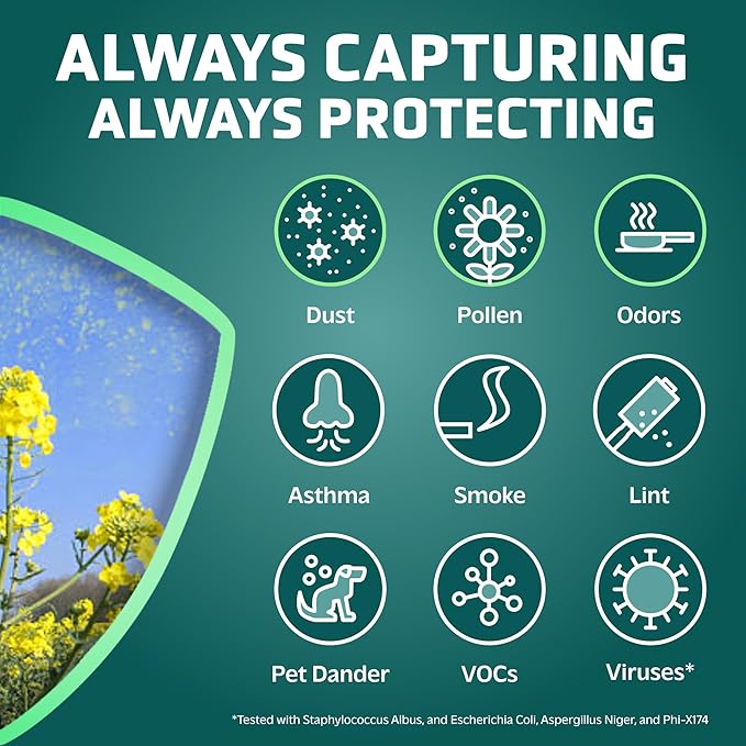 GermGuardian HEPA Pure Genuine Air Purifier Filter B, Removes 99.97% of Pollutants, Wildfire Smoke, Odors, for AC4825, AC4300, AC4900, AC4880, AC4850, CDAP4500,Black/Yellow,FLT4825,2 Count (Pack of 2)