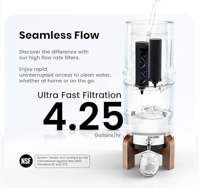 NSF Certified Carbon Replacement Filter Elements (PF-4) - Pack of 2 Filters for Phoenix Gravity Water Filters, Replacement for Berkey® BB9-2, Waterdrop, Purewell & Other Countertop Water Filters