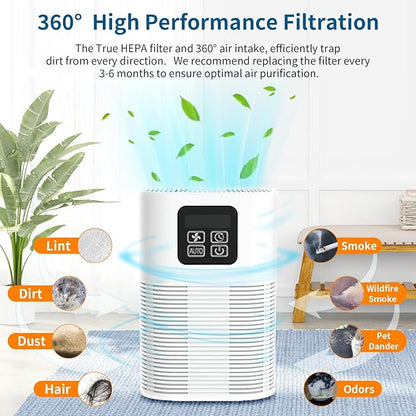 2 Pack A1 Filter Replacement For VEWIOR Air Puri-fier HQSC-50 HQKJ-80 A1W, For AMEIFU AP01W, For Tailulu HQZZ-60 PUR0003, For KOIOS HQKJ-50, 3-IN-1 True HEPA Replacement For Vewior A1w Air Puri-fier