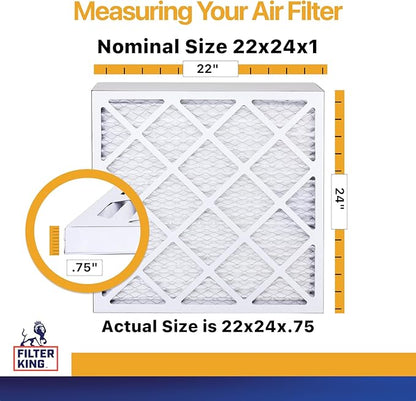 Filter King 22x24x1 Air Filter | 6-PACK | MERV 13 HVAC Pleated A/C Furnace Filters | MADE IN USA | Actual Size: 22 x 24 x .75"