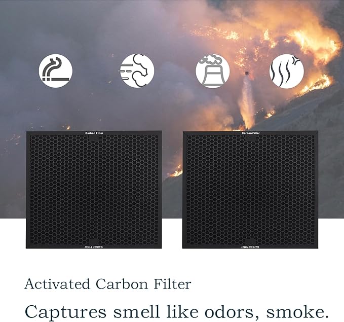 Carbon Filter 500 for Drieaz HEPA500 16'' x 16'' x 1'' & BlueDri & VEVOR Air Purifier, Air Scrubber Actived Carbon BD-AS-550 F301H - 2 Pack Activated Filter
