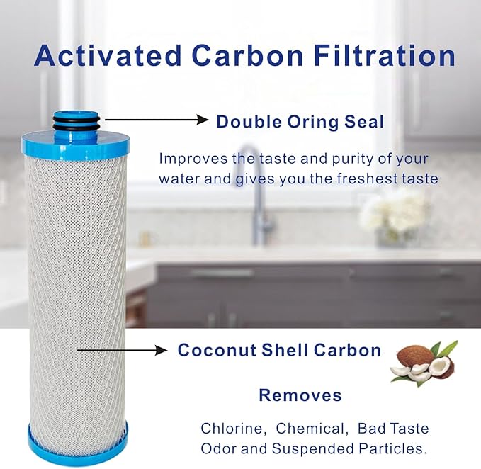 RV Water Filter, Replacement for WaterPur™ RCS/FR1 Housing, Replaces KW1 Cartridges (Set of 2), BUT DOES NOT Fit FRE-10-GN