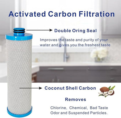 RV Water Filter, Replacement for WaterPur™ RCS/FR1 Housing, Replaces KW1 Cartridges (Set of 2), BUT DOES NOT Fit FRE-10-GN