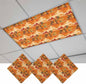 Tropical Plant Cactus Fluorescent Light Covers 3 Pack Western Cowboy Horse Sunset Deserts Orange Magnetic Fluorescent Ceiling Lights Filters for Office Classroom Home Drop Ceiling 4x2 Feet