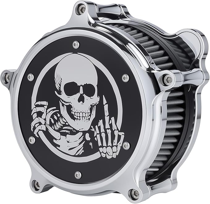 Motorcycle Air Cleaner Skull Style Air Filter with Dustproof Protective Cover Kit for Harley Davidson Touring Trike 2008-16 Softail 2016-17 Dyna 2017 (Chrome)