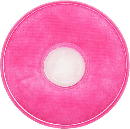 3M 2091 P100 Particulate Filter, 3 Pairs
