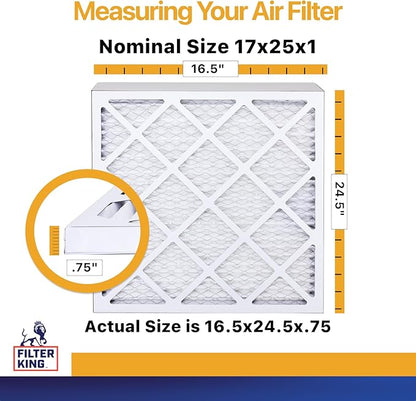 Filter King 17x25x1 Air Filter | 6-PACK | MERV 13 HVAC Pleated A/C Furnace Filters | MADE IN USA | Actual Size: 16.5 x 24.5 x .75"