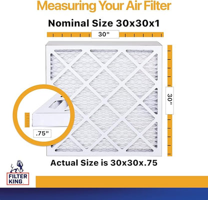 Filter King 30x30x1 Air Filter | 6-PACK | MERV 13 HVAC Pleated A/C Furnace Filters | MADE IN USA | Actual Size: 29.5 x 29.5 x .75"