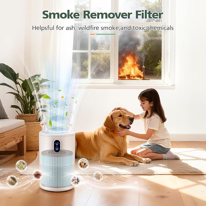 B-D02L/M05 Smoke Remover Replacement Filter, Compatible with MOOKA B-D02L/M05 Air Purifiers, for VEWIOR B-D02U, KOIOS B-D02L, for Tailulu D10 Air Purifiers, Blue, 2 Pack