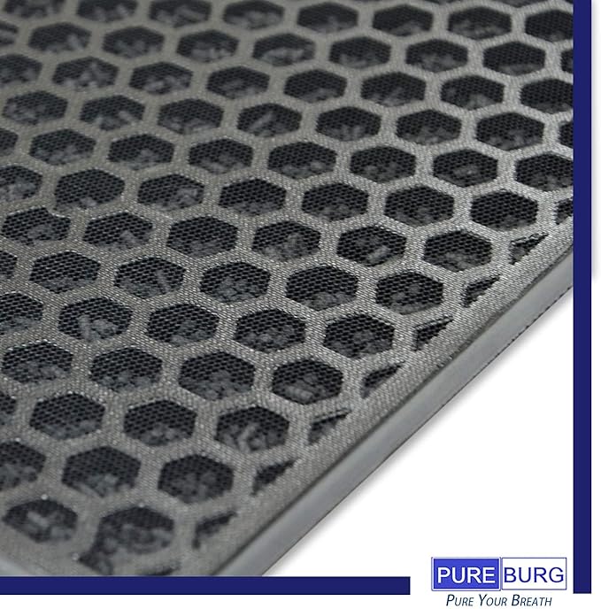 PUREBURG Replacement Filter Set Compatible with RabbitAir BioGS 2.0 Ultra Quiet Model SPA-550A & SPA-625A Air Purifiers,2-Pack H13 True HEPA + Activated Carbon Filter