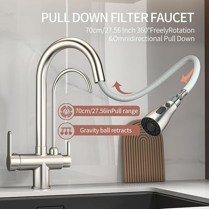Kitchen Sink Faucet with Pull - Down Sprayer, 2 - Handle 3 - in - 1 Kitchen Sink Filter Faucet, Cold and Hot Mixer Drinking Water Faucet (3-in-1 Filter Faucet, Brushed Nickel)