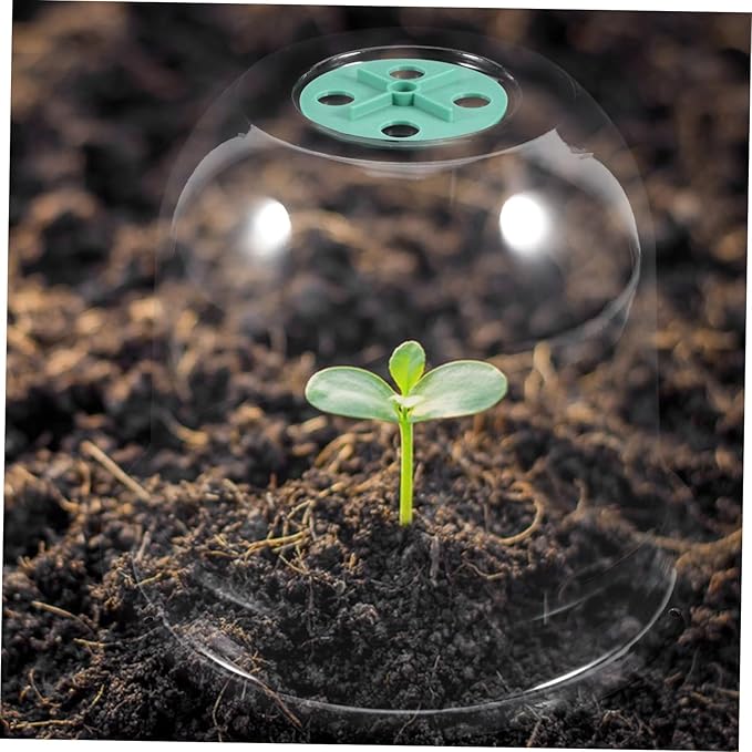 2pcs Small Garden Cloche Clear Plastic Humidity Domes for Mini Greenhouse Protectors with Optimal Airflow and Heat Insulation for Winter Outdoor Use