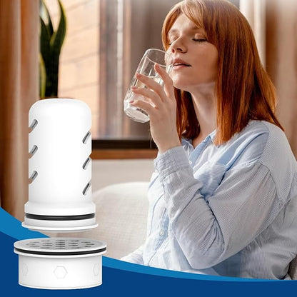 MARRIOTTO Water Filter Replacement for LS Home Dispenser - 18/7 Cup Pitcher, 2 Membrane Micro Filter and 4 Activated Carbon + Ion Exchange Filter