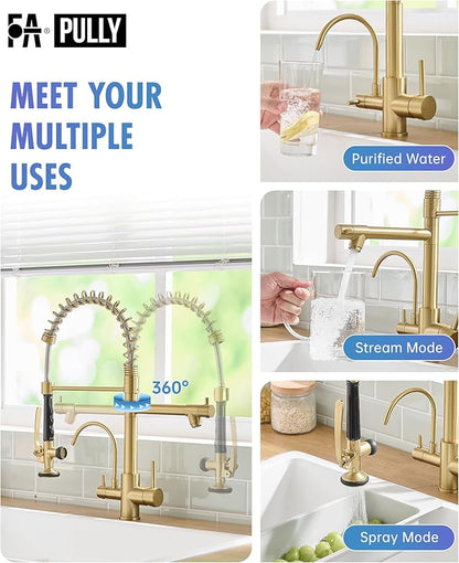 Fapully Commercial 3 Way Kitchen Faucets with Pull Down Sprayer and Water Filler,3 in 1 Kitchen Sink Faucet with Drinking Water Faucet Brushed Gold