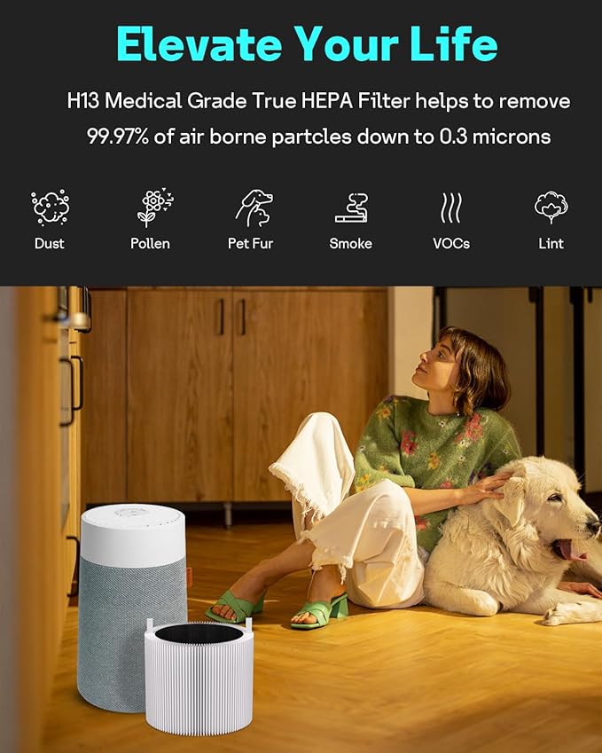 Leemone 2 Pack Blue Pure Mini Max Replacement Filter Compatible with Blueair Blue Pure Mini Max Air Purifiers, Activated Carbon FMINI filter