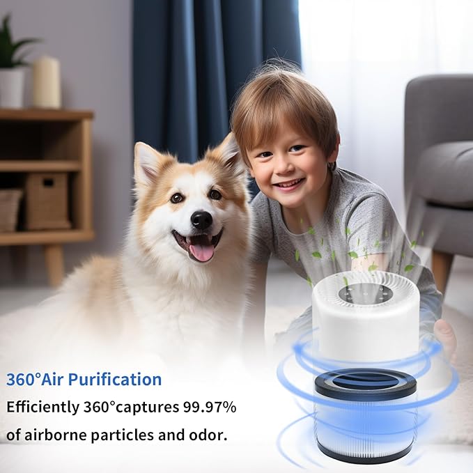 2 Pack Vista 200 Replacement Filter Compatible with LEVOIT Vista 200 and Vista 200-RF Air Purifier, High-Efficiency 3-in-1 True H13 HEPA Activated Carbon Filter