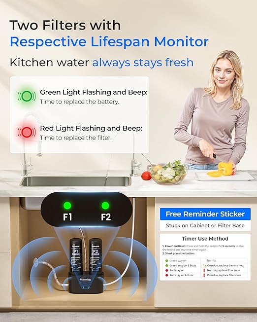 Waterdrop DLG-P Under Sink Water Filter System, Reduces PFAS Chlorine Chloramine Fluoride Odor, 2 Stage Under Sink Water Filtration System with Dedicated Faucet, 2-Outlet Filter, Life Indicator