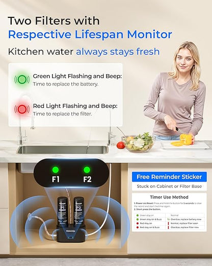 Waterdrop DLG-P Under Sink Water Filter System, Reduces PFAS Chlorine Chloramine Fluoride Odor, 2 Stage Under Sink Water Filtration System with Dedicated Faucet, 2-Outlet Filter, Life Indicator